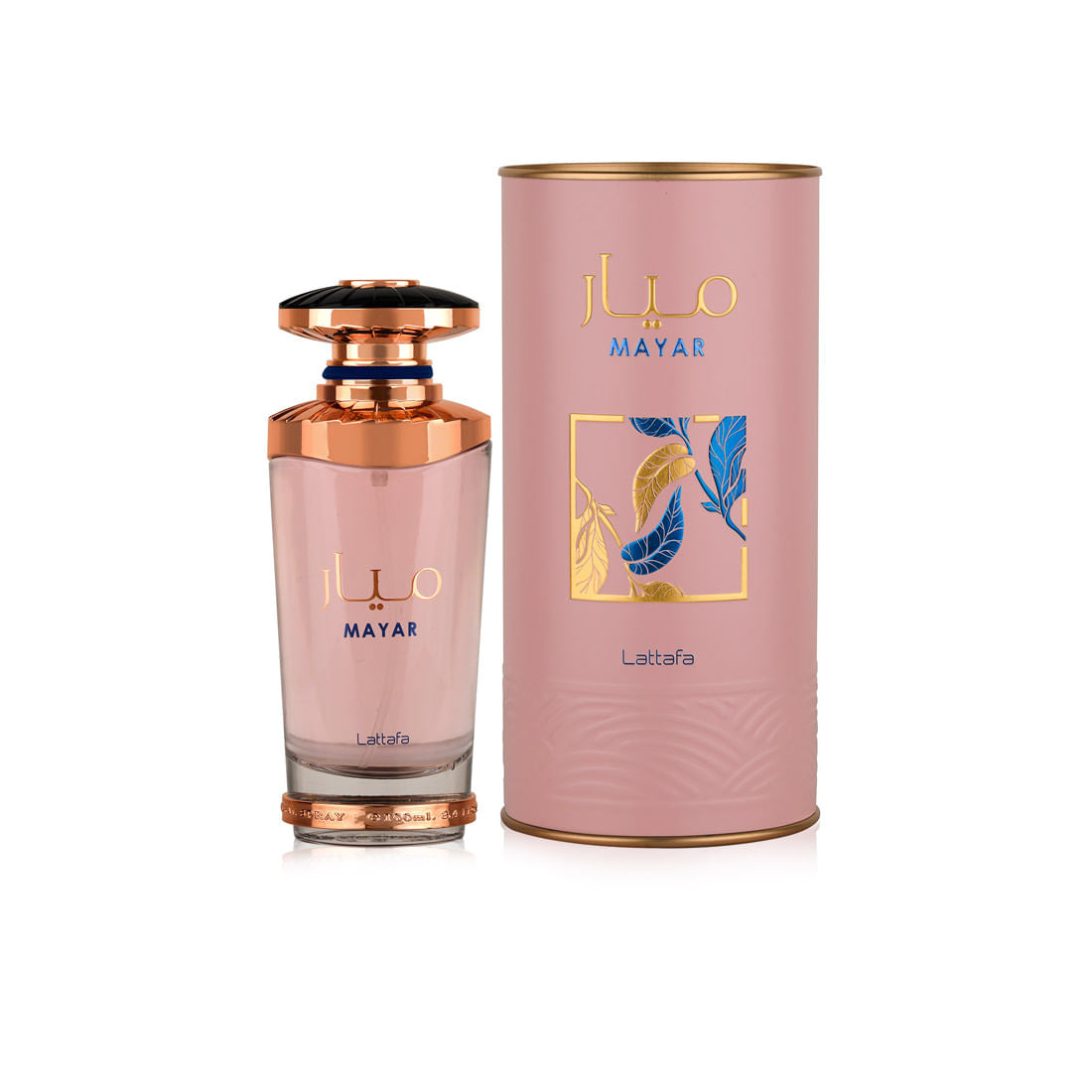 Mayar EDP