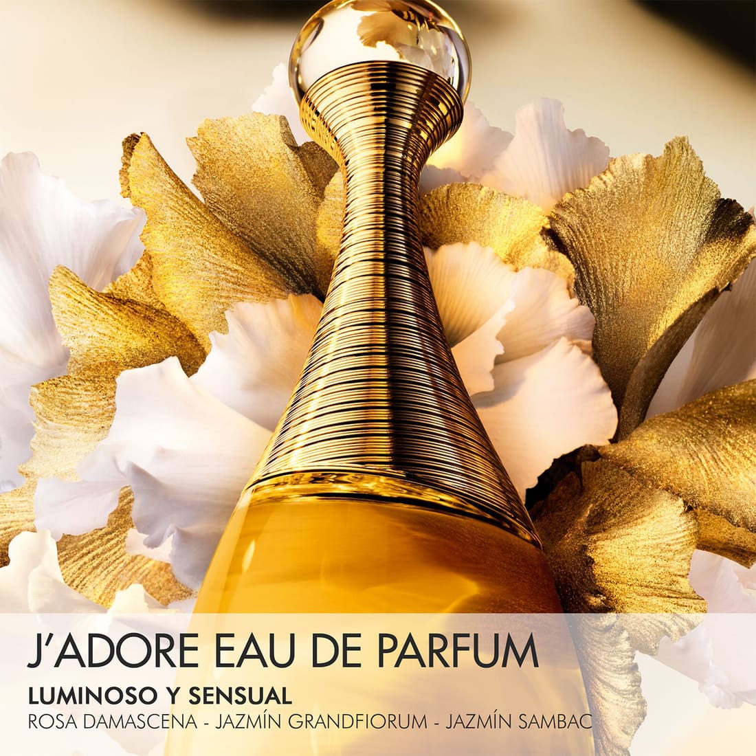J'adore EDP 100 ml Set